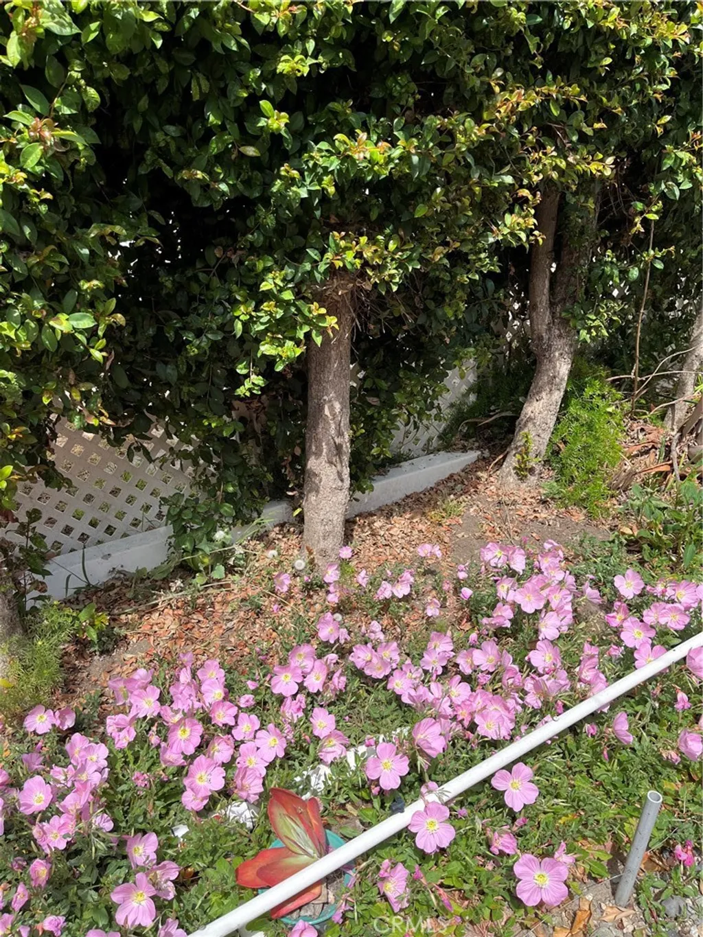 Additional image 4 of 1065 Lomita Boulevard Unit 250, Harbor City, CA 90710