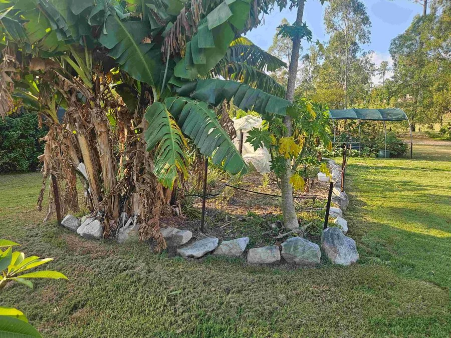 Additional image 11 of 199 Arborthree Road, Glenwood QLD 4570