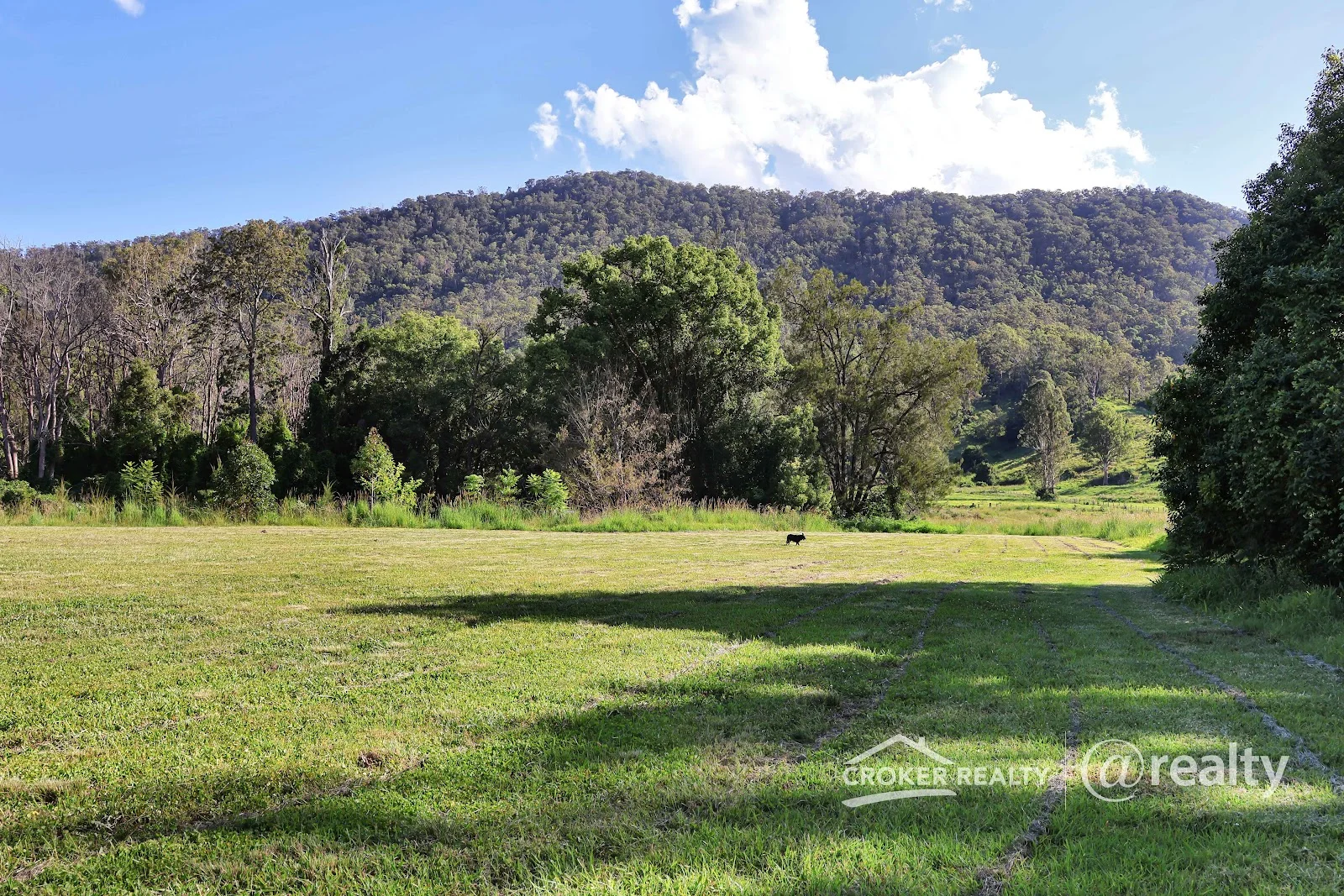Additional image 15 of 260 Collins Valley Road, Collins Creek NSW 2474
