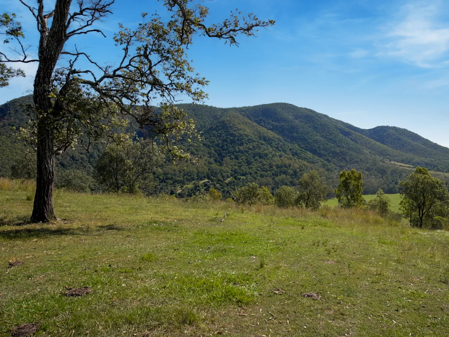 Additional image 19 of 246-274 Rasmussen Road, Neurum QLD 4514