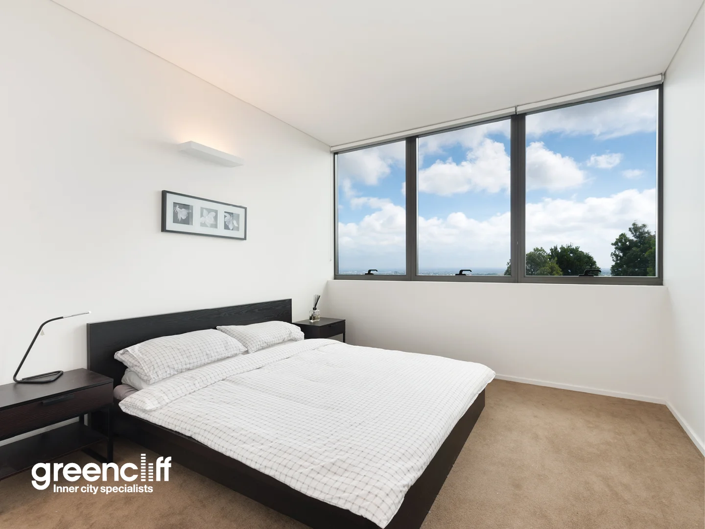 Additional image 4 of 18 Park Lane, Chippendale NSW 2008