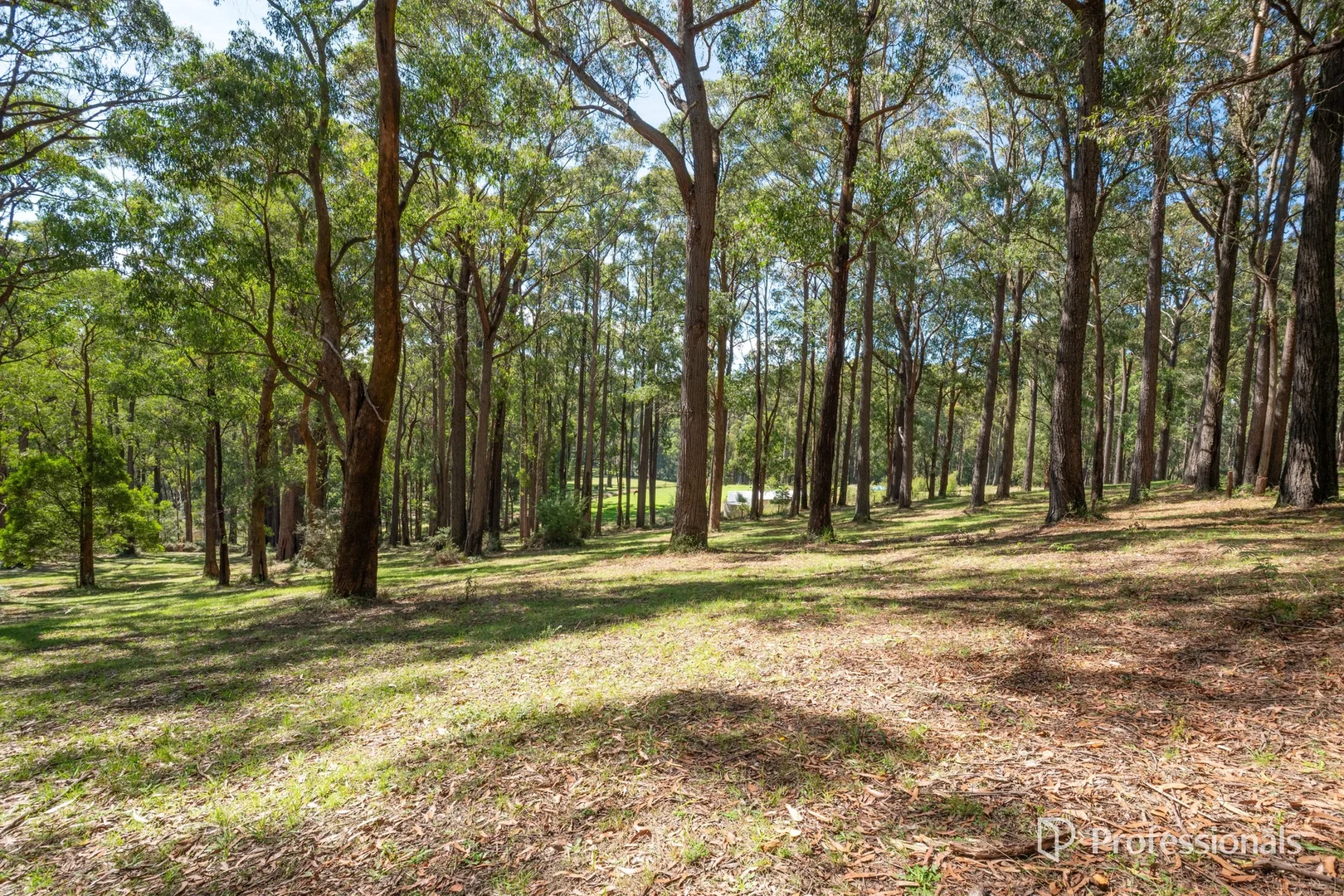 Additional image 24 of 620 Thonemans Road, Hoddles Creek VIC 3139