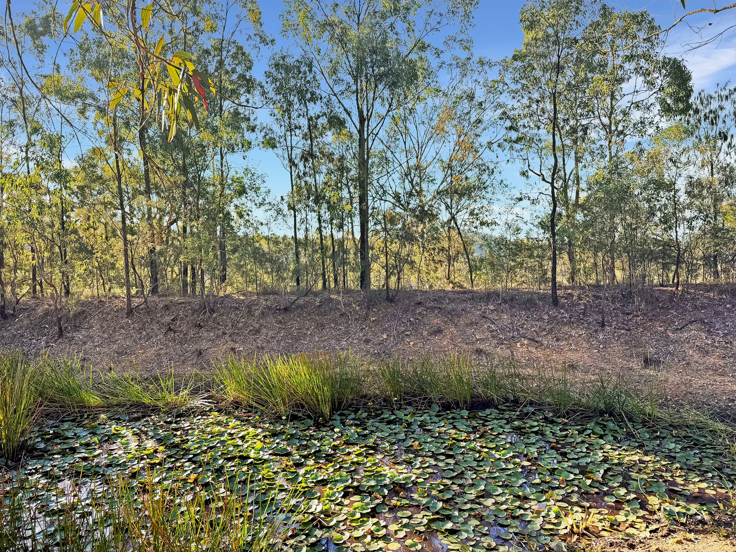 Additional image 34 of 898 Yango Creek Road, Laguna NSW 2325