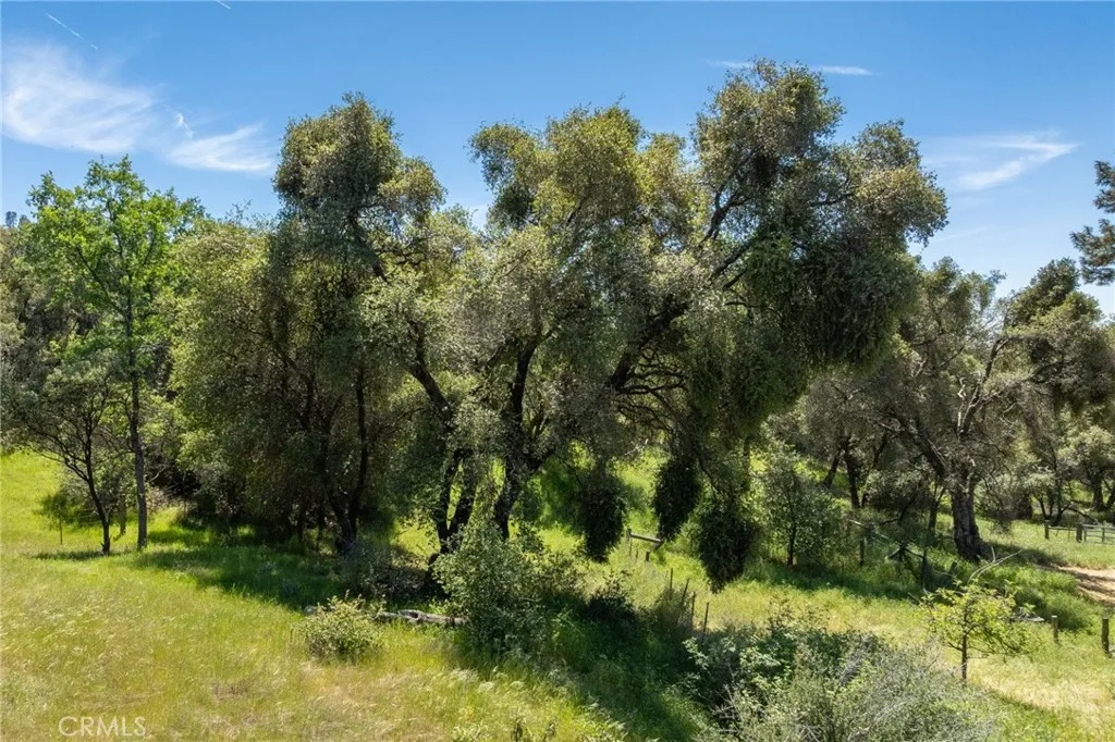 Additional image 73 of 4716 Leonard Rd, Mariposa, CA 95338