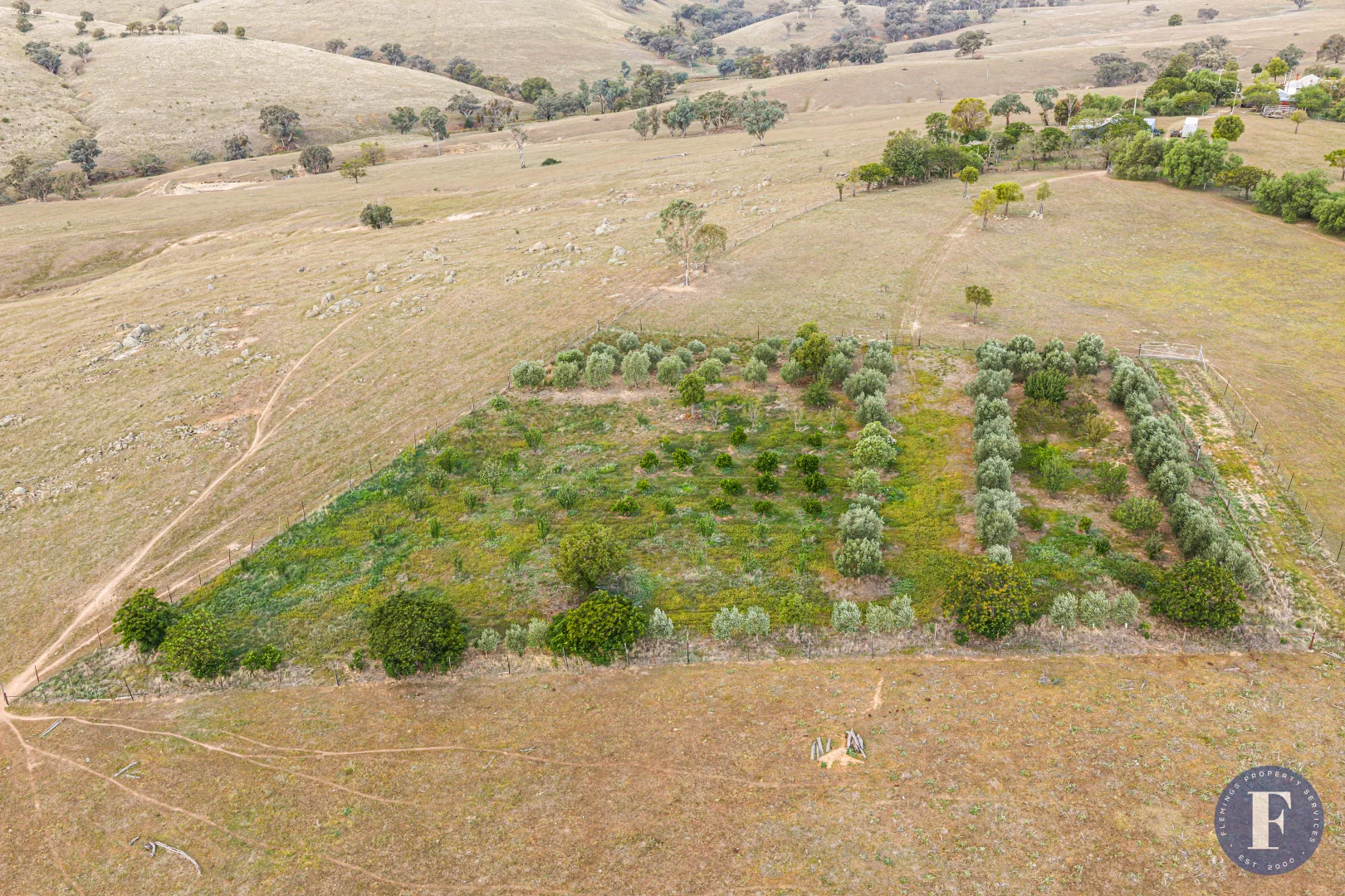 Additional image 20 of 438 Ironbark Lane, Boorowa NSW 2586