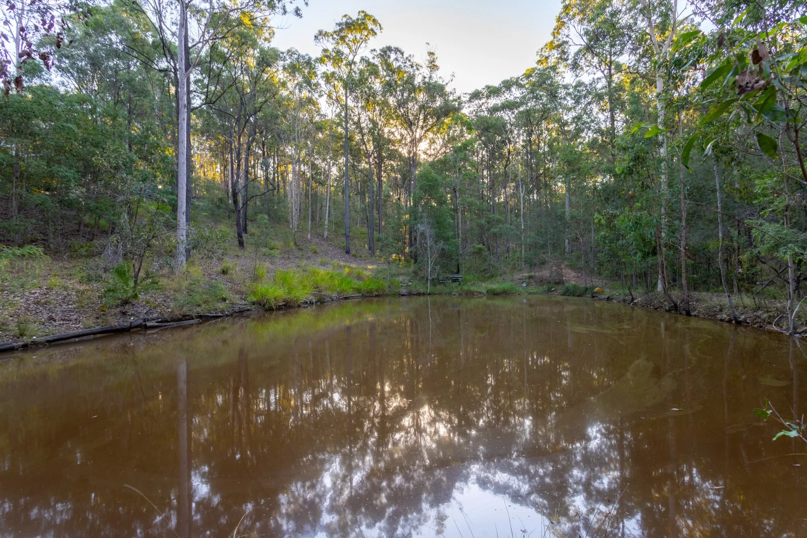 Additional image 36 of 39-41 Woodswallow Court, Greenbank QLD 4124