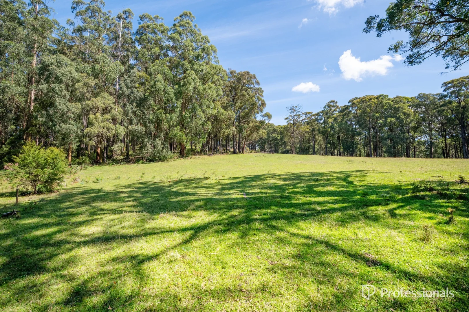 Additional image 26 of 620 Thonemans Road, Hoddles Creek VIC 3139