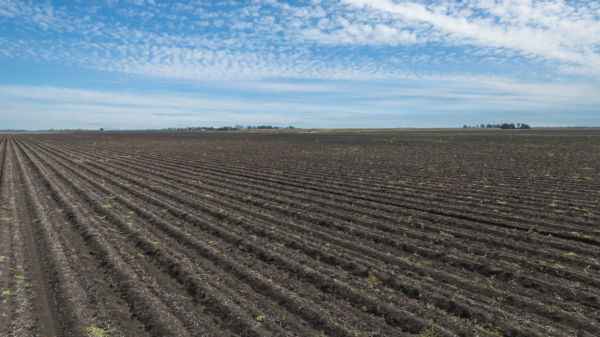 Additional image 14 of "Glengarry" 1947 Pampas - Horrane Road, Condamine Plains QLD 4352