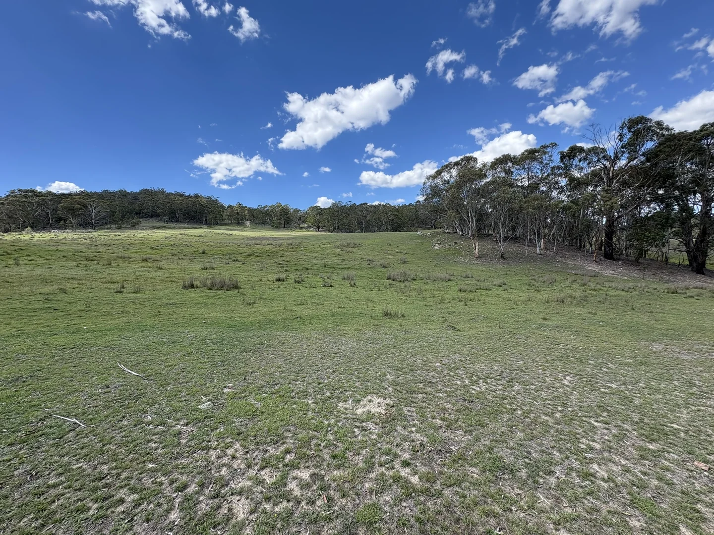 Additional image 10 of 29, 175 Tumbledown Road, Peak View NSW 2630
