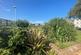 Additional image 8 of Lord Warden Avenue, Walmer, CT14