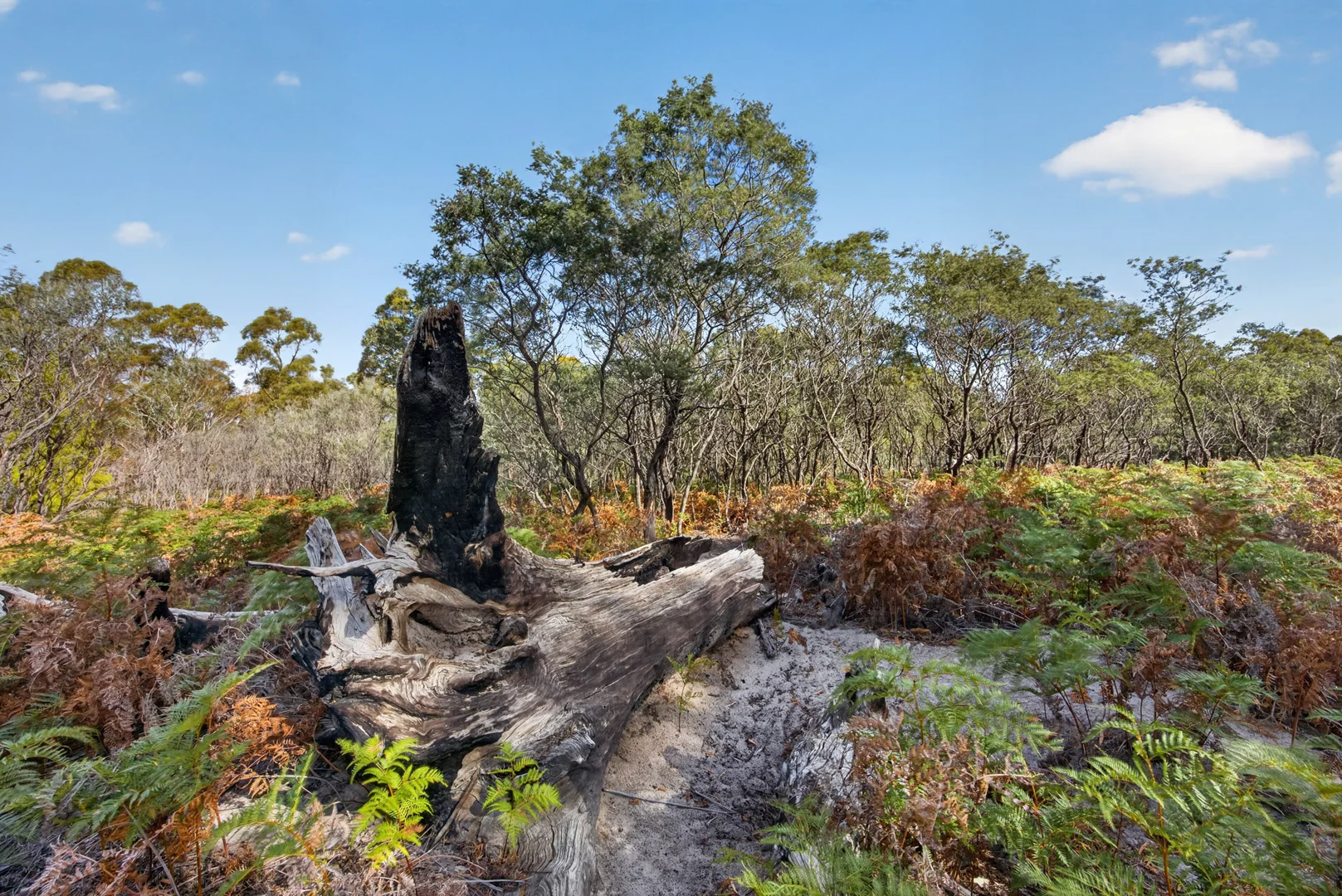 Additional image 5 of 183 Josephs Road, Carlton TAS 7173