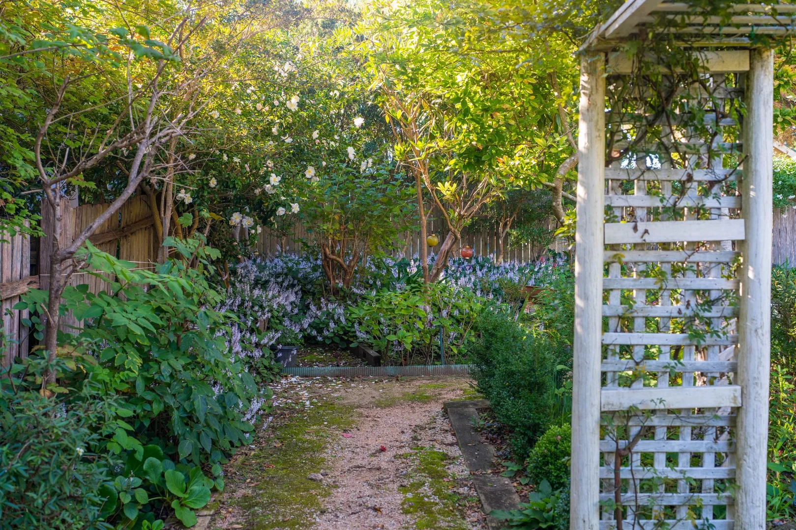 Additional image 18 of 14 Lett Street, Katoomba NSW 2780