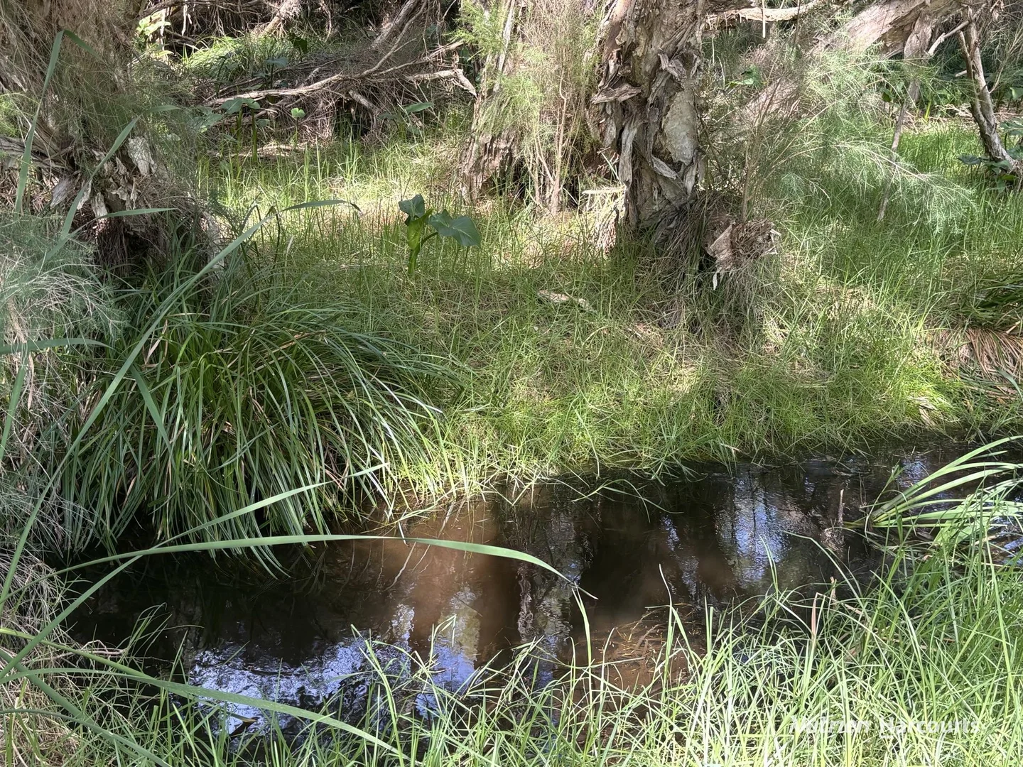 Additional image 2 of 92 Robinson Street, Gingin WA 6503