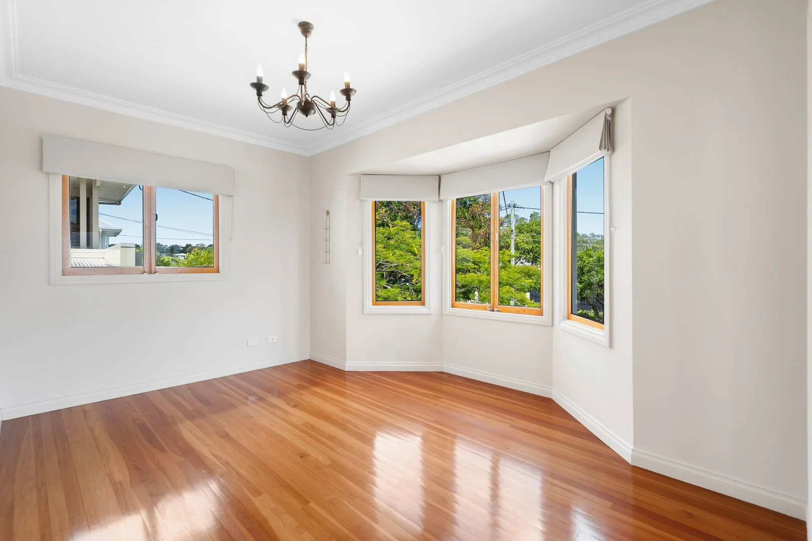 Additional image 5 of 104 Sirius Street, Coorparoo QLD 4151