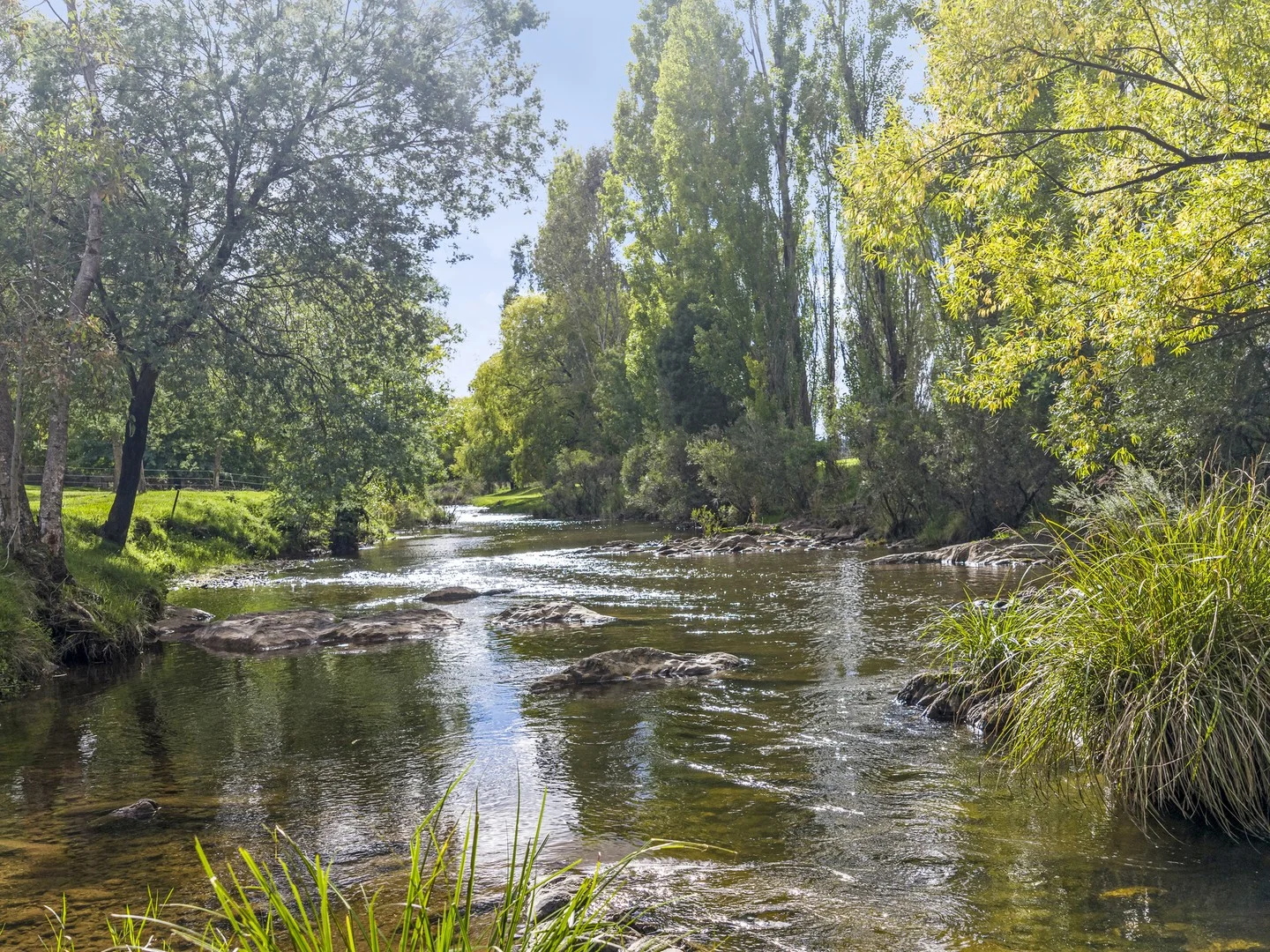 443 Howes Creek-Goughs Bay Road, Goughs Bay VIC 3723