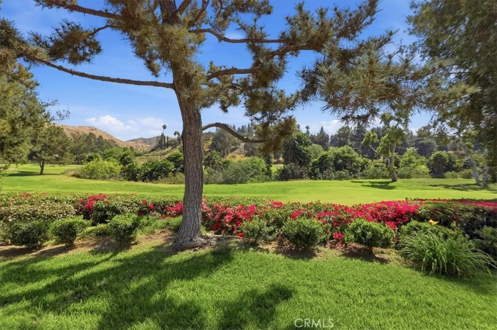 Additional image 50 of 702 Via Zapata, Riverside, CA 92507