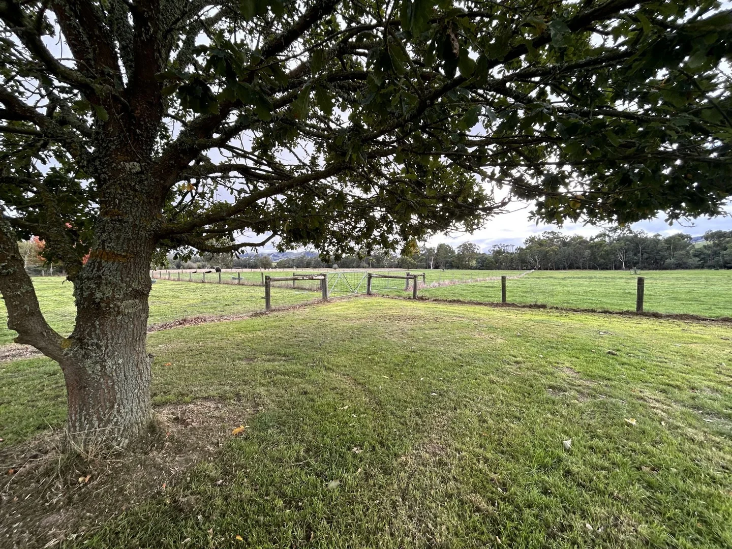 Additional image 8 of 53 Burns Road, Glenburn VIC 3717