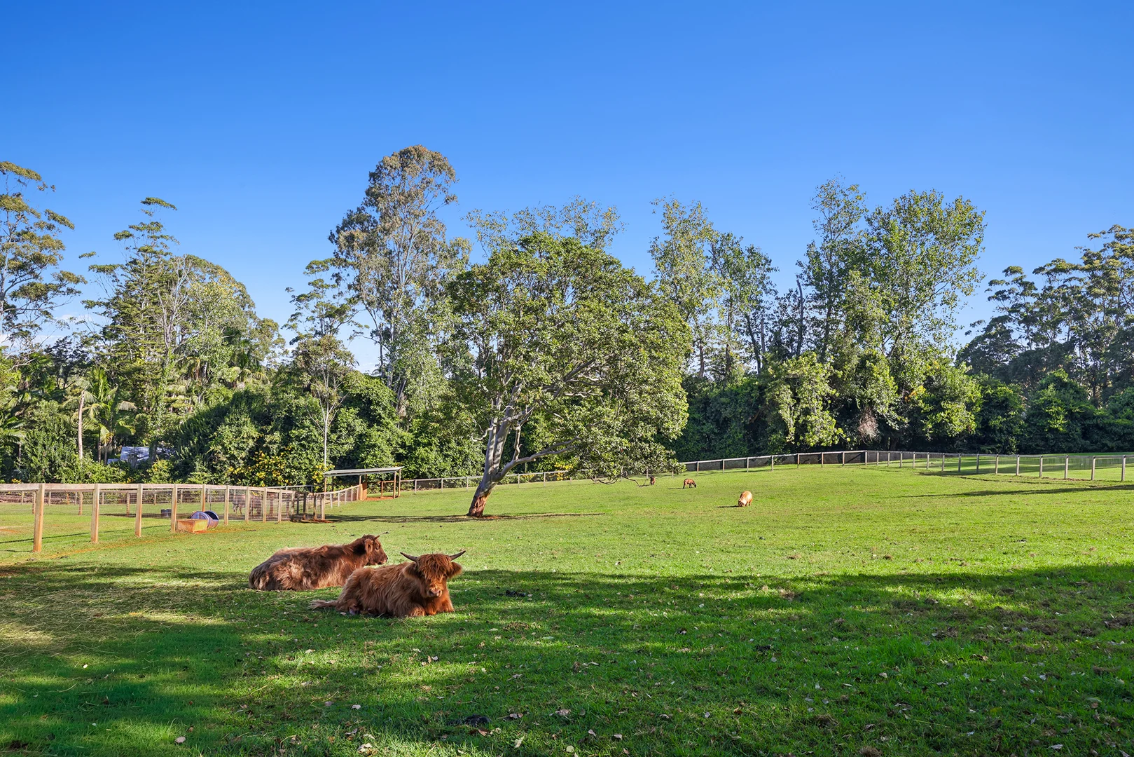 Additional image 10 of 23-25 Kootenai Drive, Tamborine Mountain QLD 4272