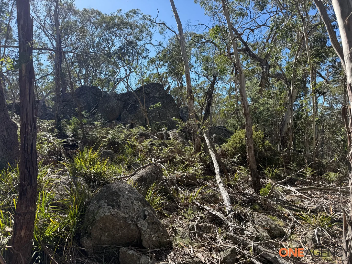 Additional image 16 of 401 Glen Allen Road, Glen Allen NSW 2631