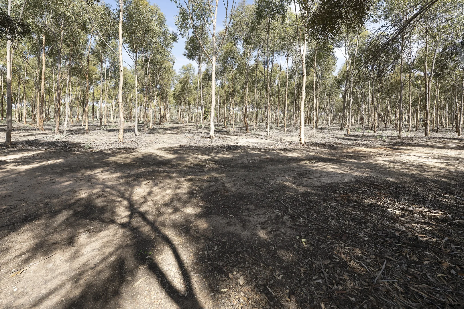 Additional image 33 of 1105 Pental Island Road, Pental Island VIC 3586