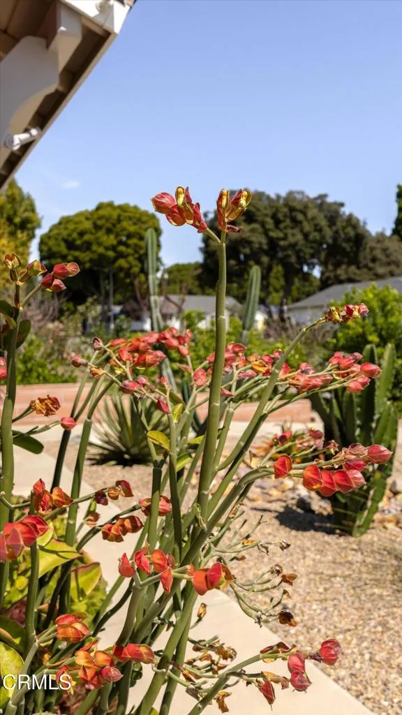 Additional image 47 of 173 Bucknell Avenue, Ventura, CA 93003