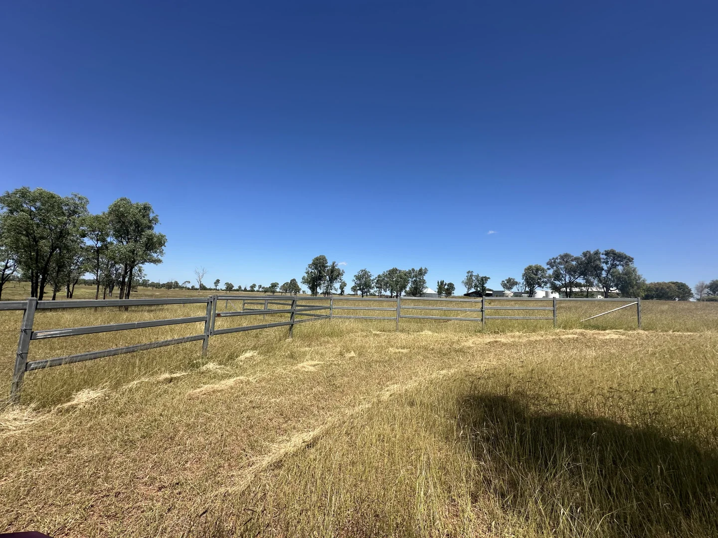 Additional image 10 of 338 Cheeseborough Rd, Clermont QLD 4721
