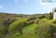Additional image 43 of Windy Hill, Wrexham LL12