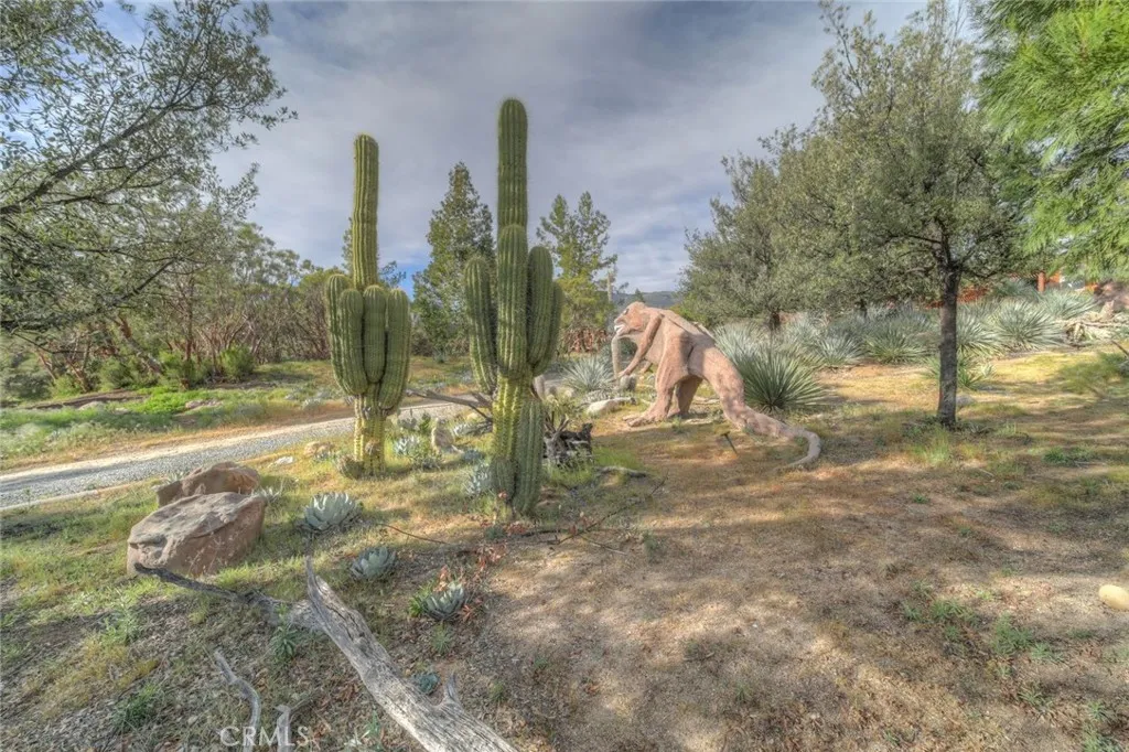 Additional image 62 of 37440 Old Forest Rd, Anza, CA 92539