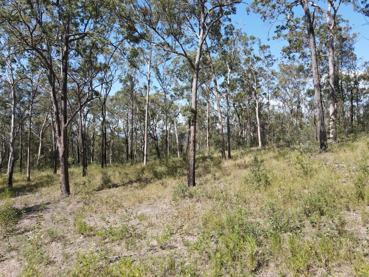 Additional image 14 of 428 Bruxner Road, Drake NSW 2469