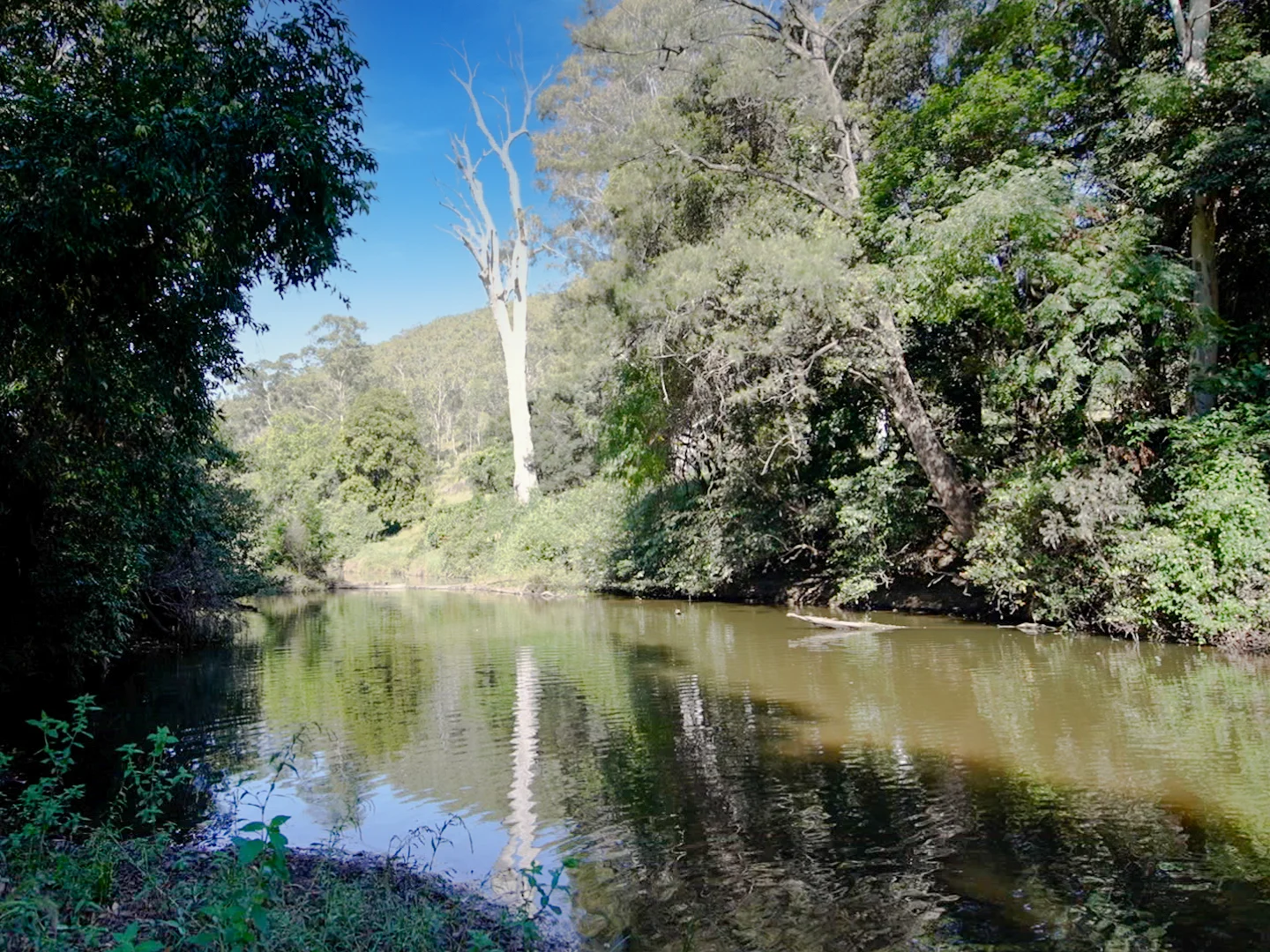 Additional image 27 of 246-274 Rasmussen Road, Neurum QLD 4514