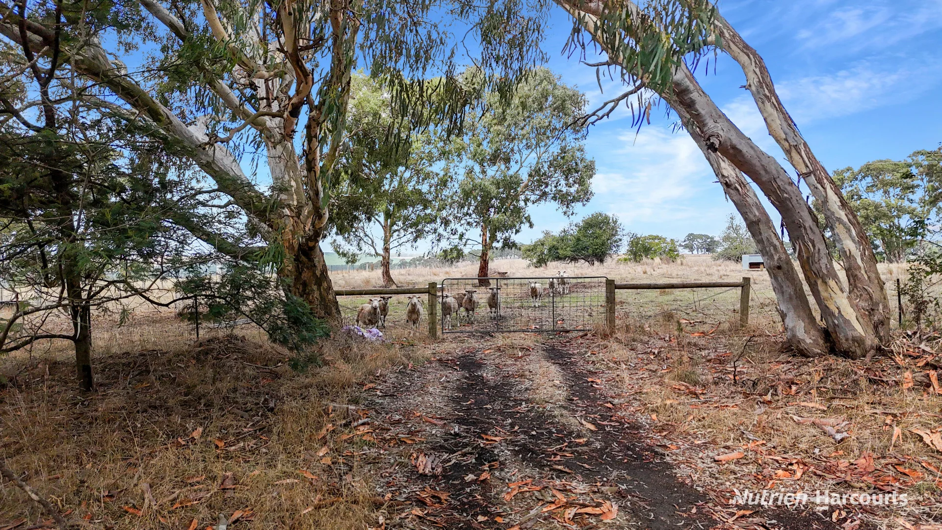 Additional image 3 of Lot 1 Old Mt Gambier Road, Casterton VIC 3311