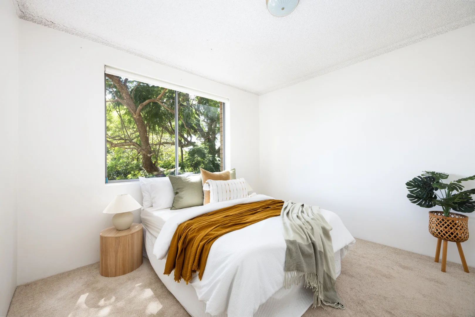 Additional image 4 of 9/170 Ben Boyd Road, Neutral Bay NSW 2089