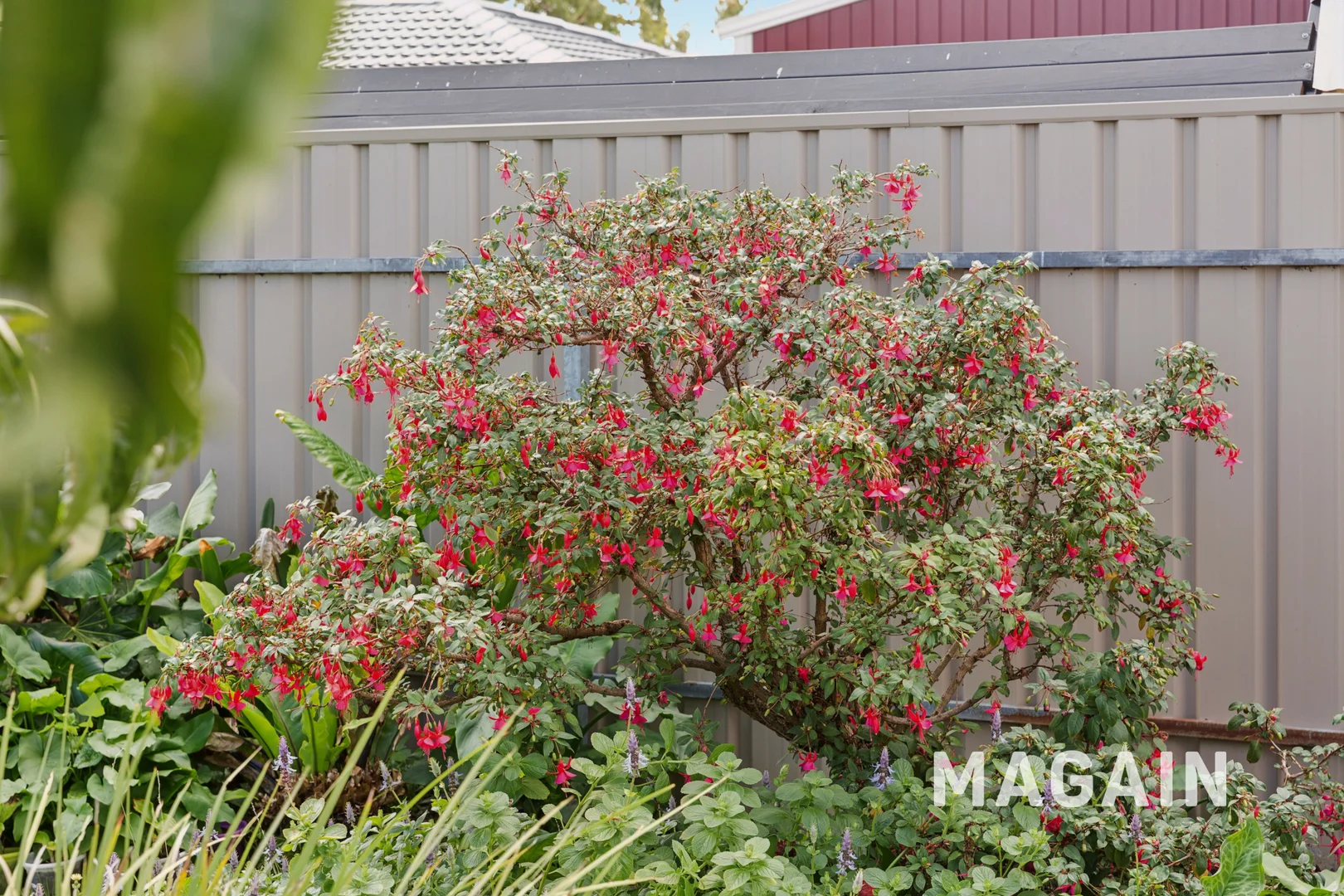 Additional image 23 of 530 Main South Road, Old Noarlunga SA 5168