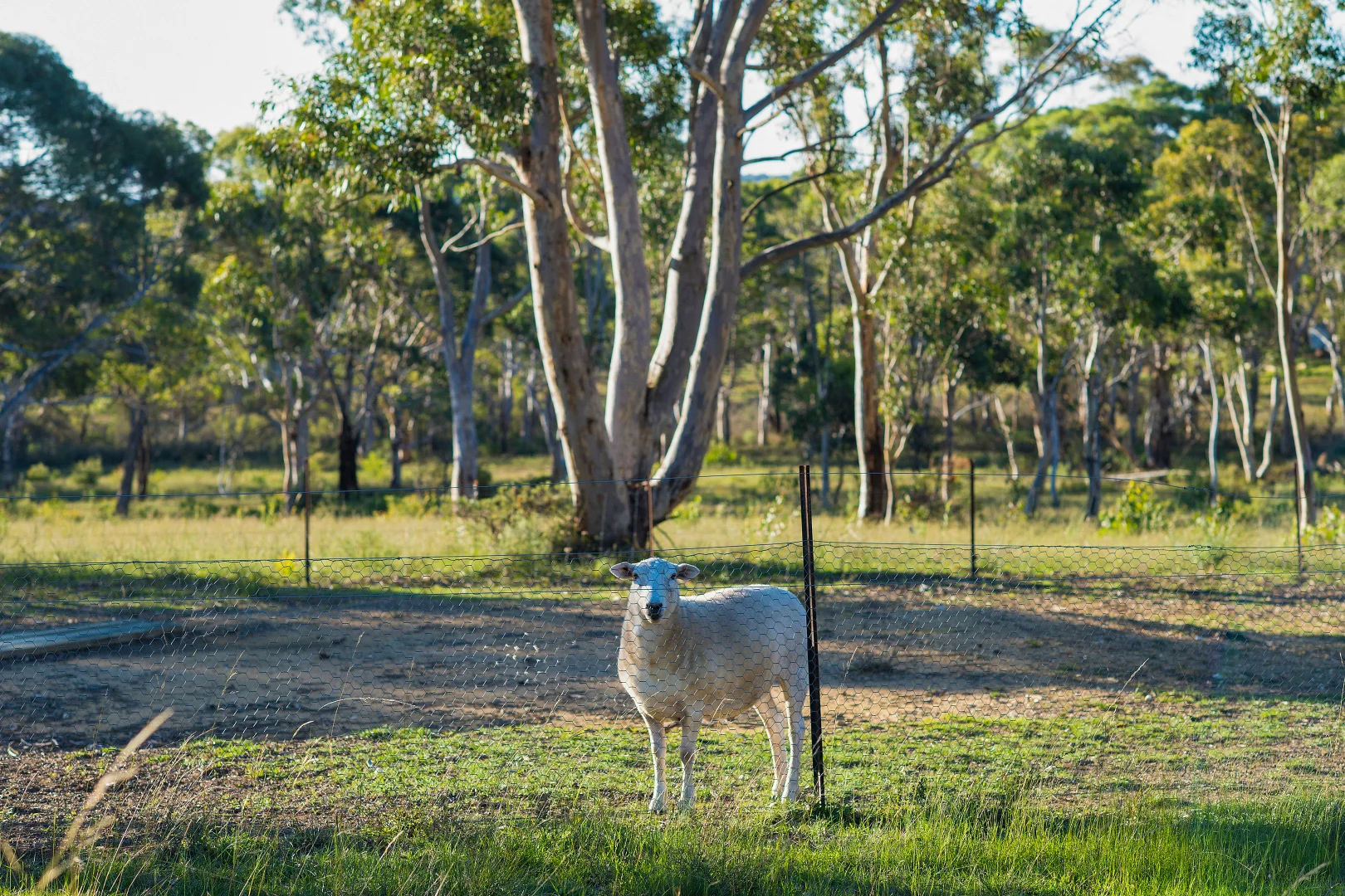 Additional image 18 of 24 Redgum Drive, Tallong NSW 2579