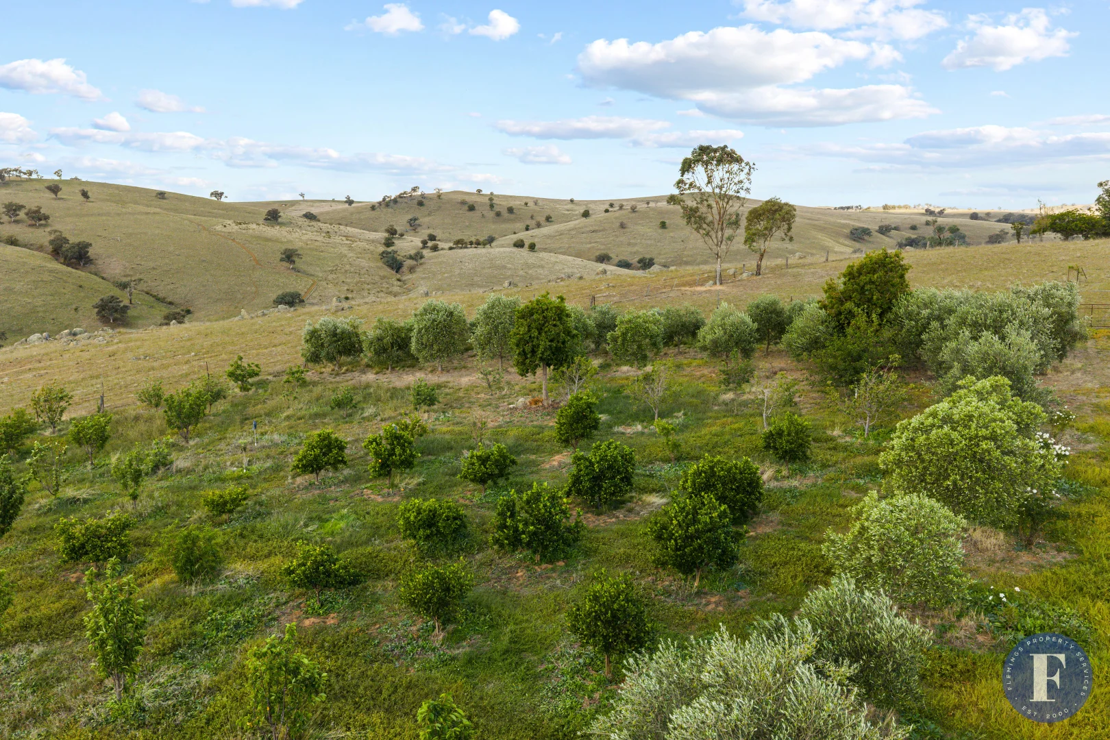 Additional image 17 of 438 Ironbark Lane, Boorowa NSW 2586