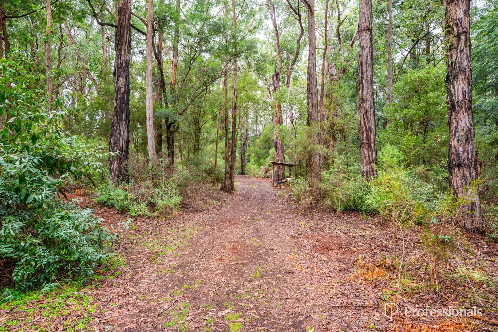 Additional image 15 of 160 Worlley Road, Hoddles Creek VIC 3139