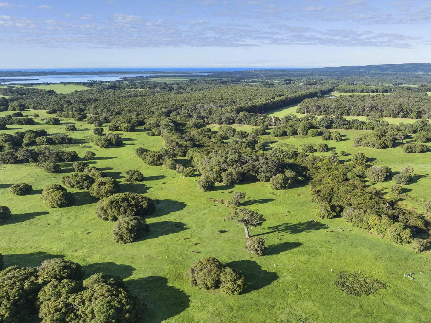 Lot 49 Blackwood Grove, Kudardup WA 6290