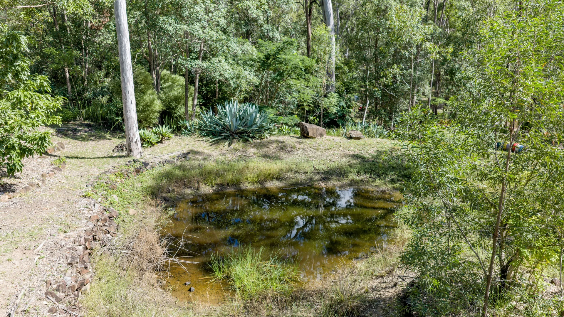 Additional image 13 of 103 Arbornine Road, Glenwood QLD 4570