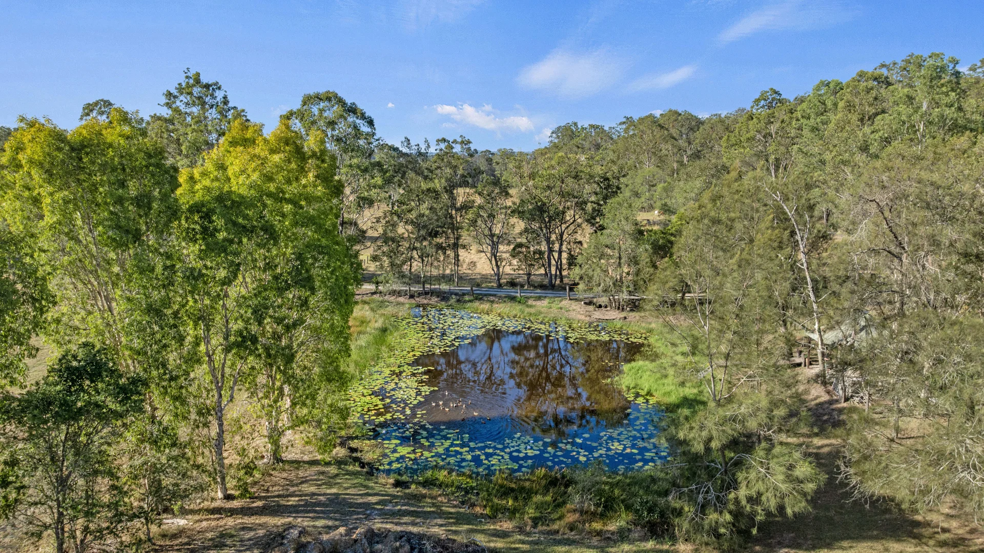 Additional image 34 of 19 Back Kings Creek Road, Lawrence NSW 2460