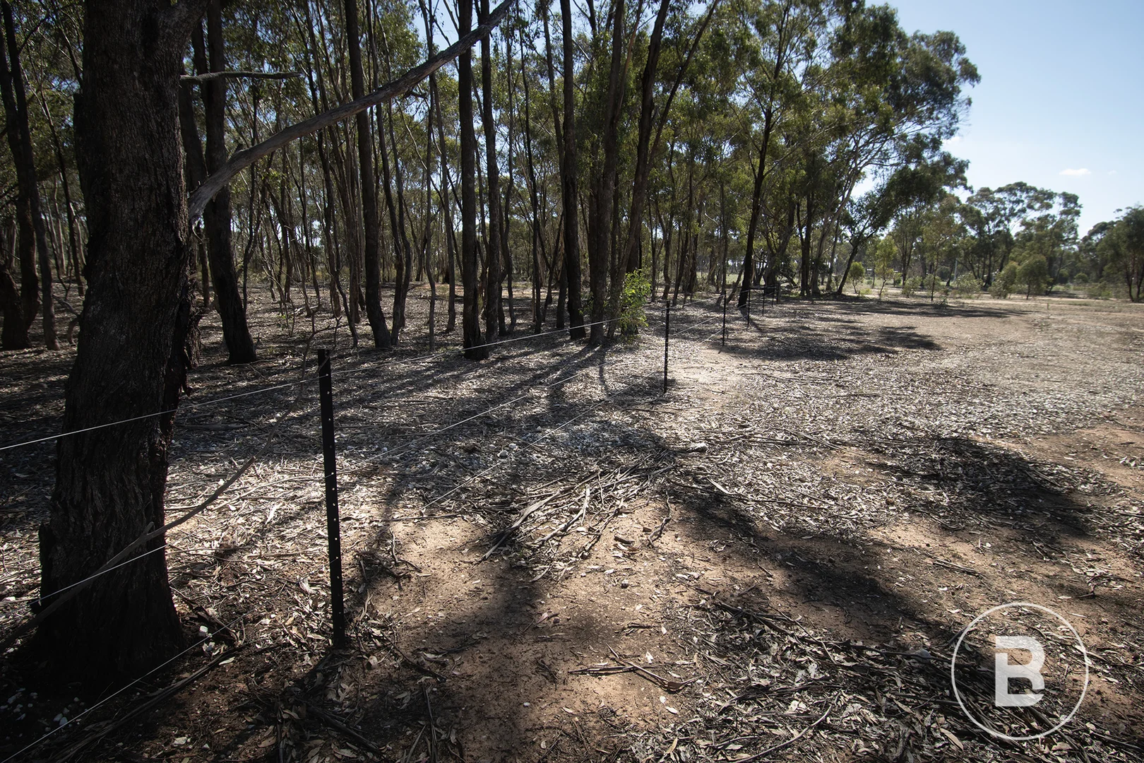 Additional image 20 of 585 Maryborough-Dunolly Road, Havelock VIC 3465