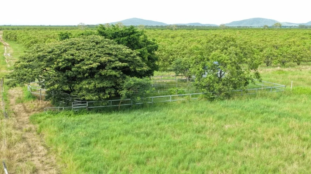Additional image 20 of Giru QLD 4809