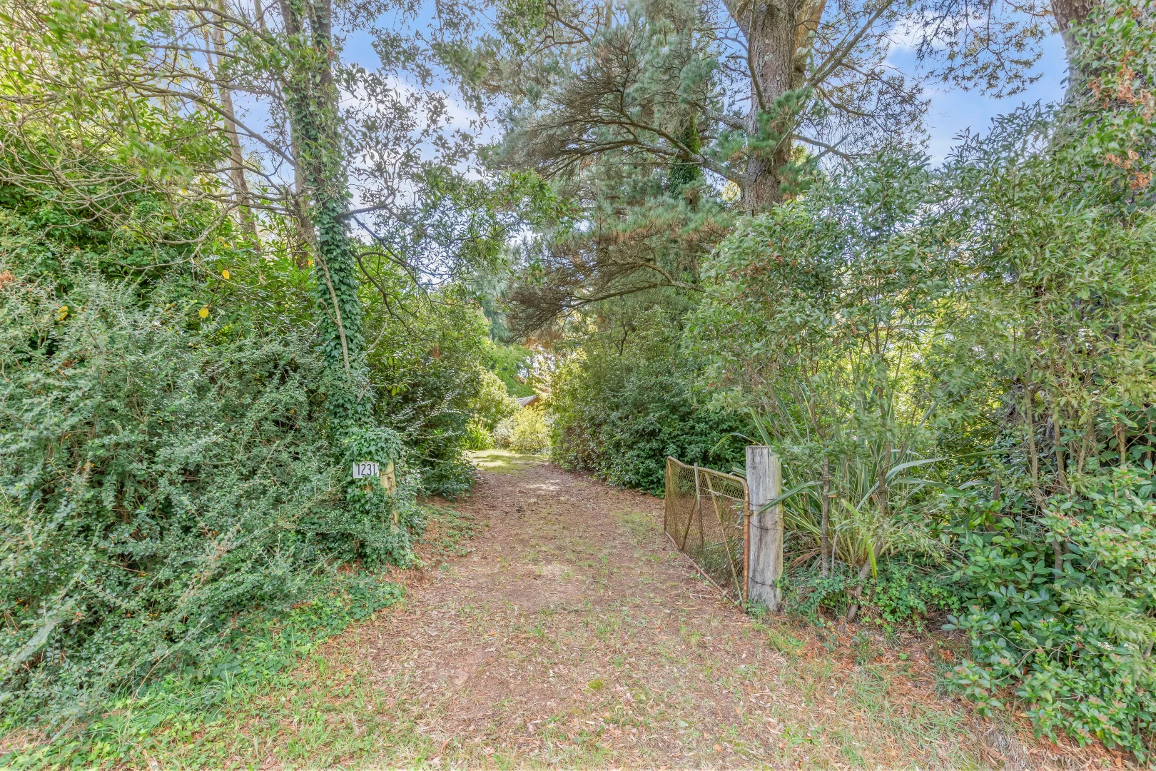 Additional image 12 of 1231 Sunny Corner Road, Sunny Corner NSW 2795