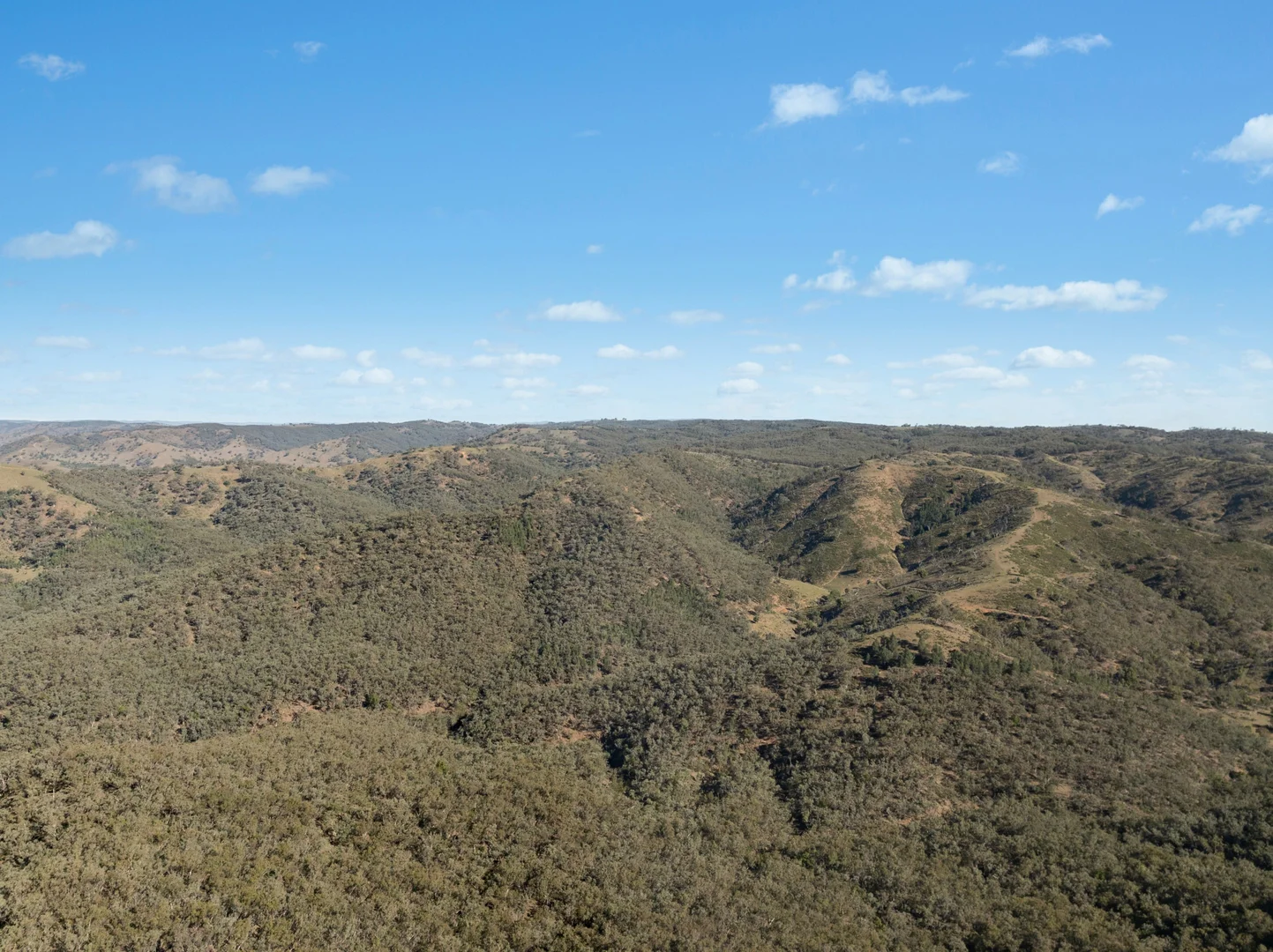 Additional image 4 of 1018 Mount Aquila Road, Stuart Town NSW 2820