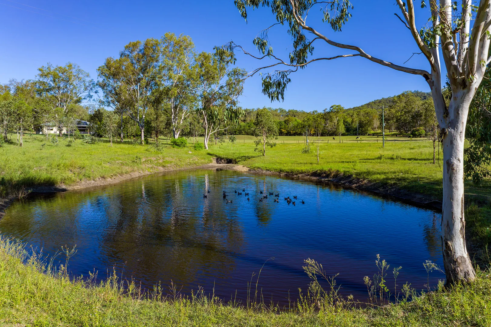 Additional image 20 of 109 Rossmore Road, Kilkivan QLD 4600