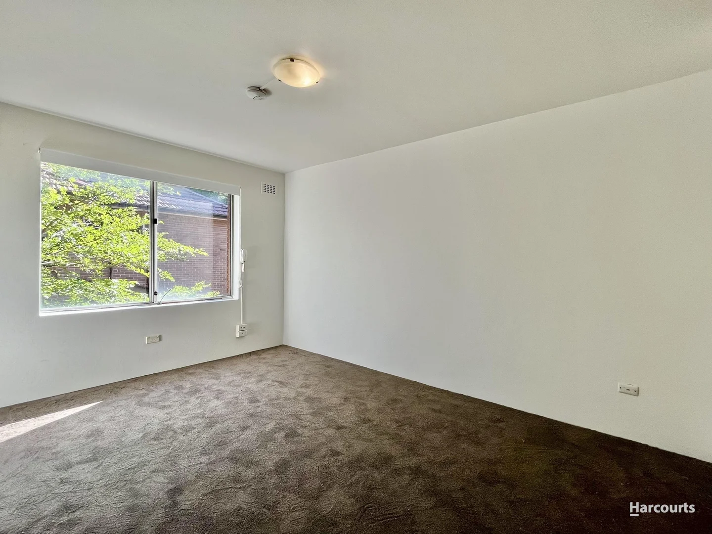 Additional image 3 of 41/95-97 Annandale Street, Annandale NSW 2038