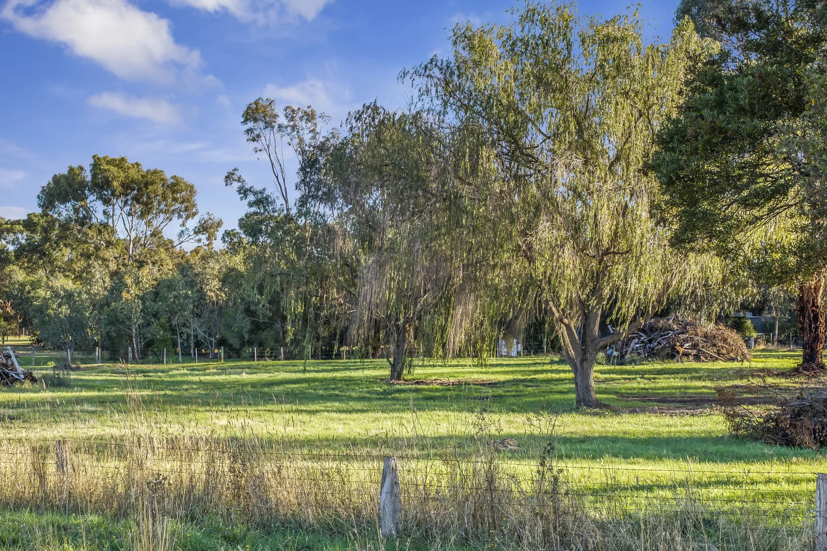 230 Pound Road, Elliminyt VIC 3250 photo 4