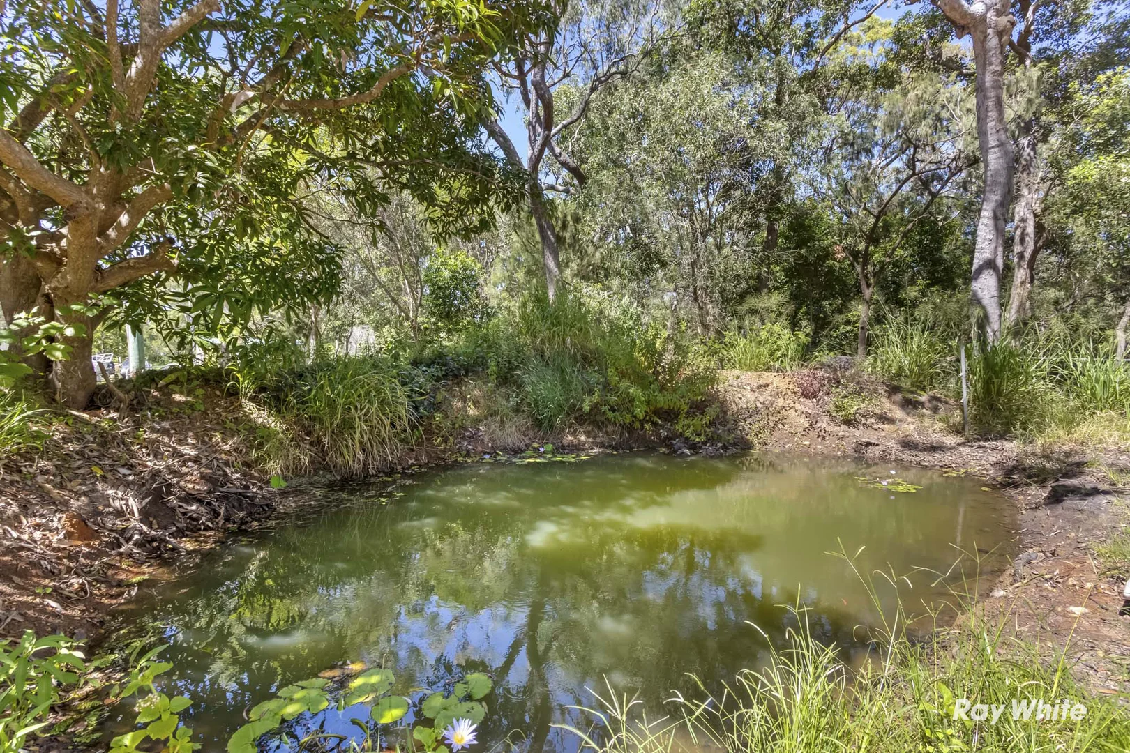 Additional image 5 of 226 Adelaide Park Road, Inverness QLD 4703