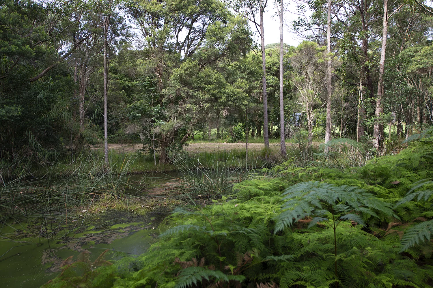 Additional image 7 of 34 Zoriana Close, Mardi NSW 2259