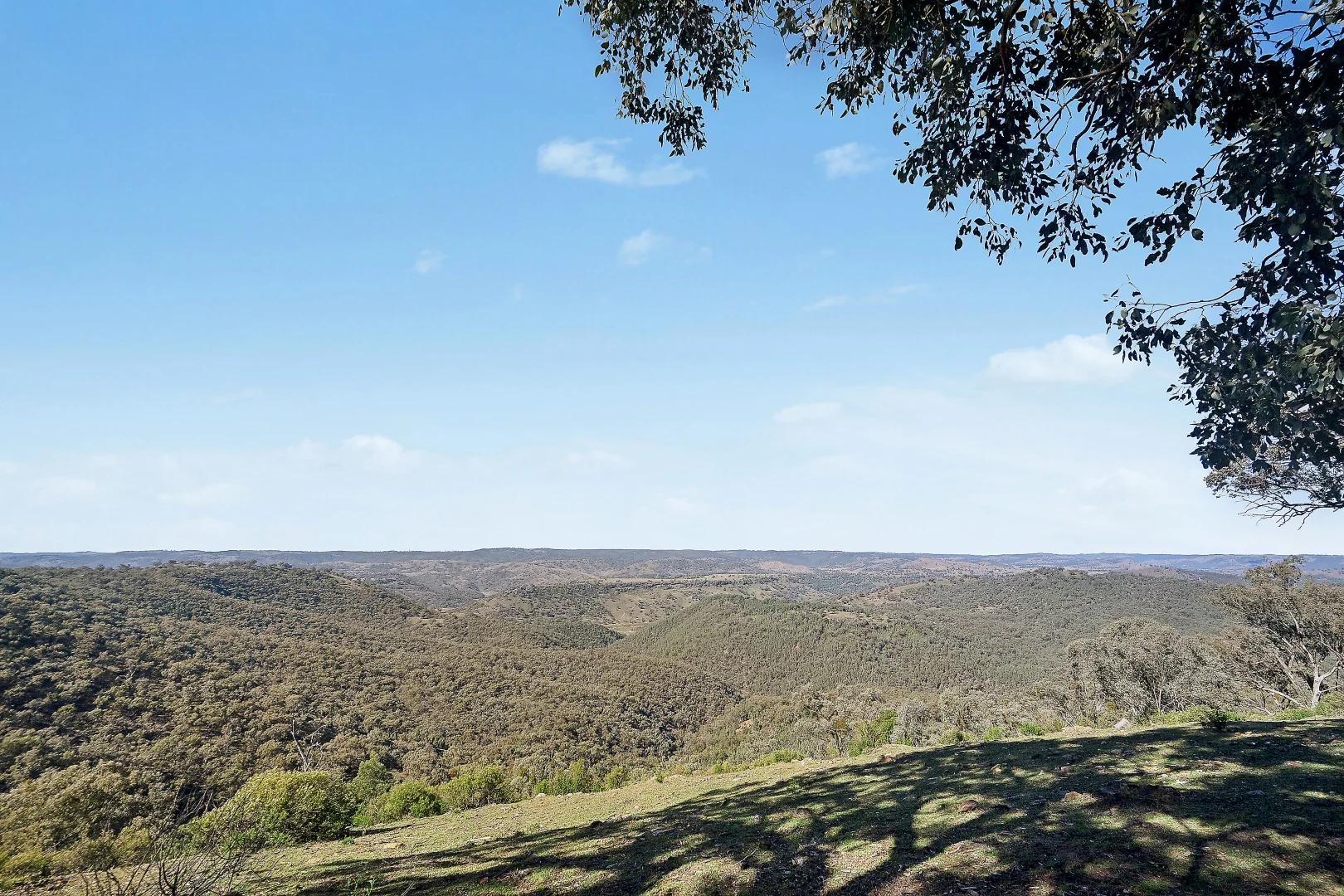 Additional image 7 of 1018 Mount Aquila Road, Stuart Town NSW 2820