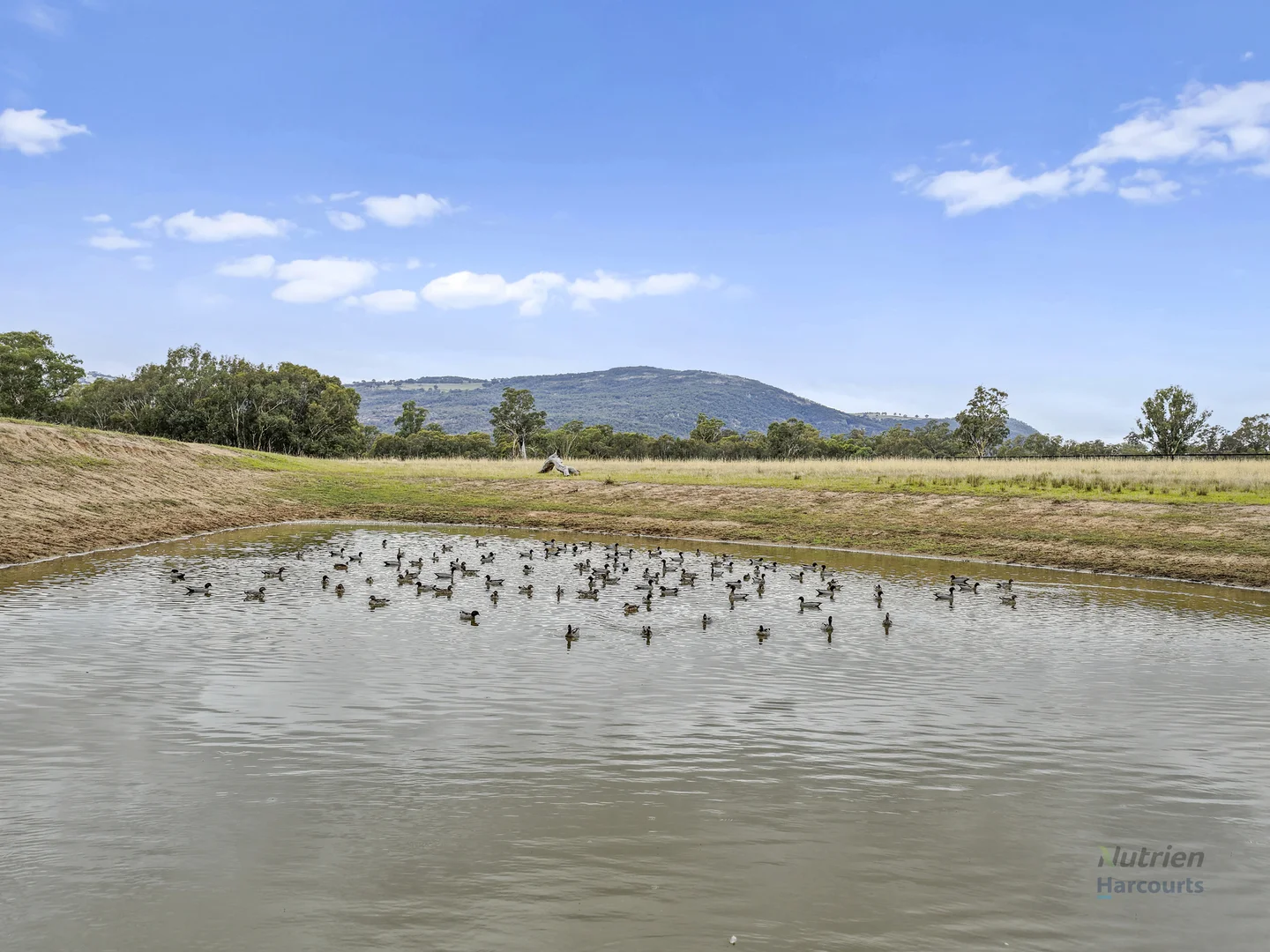 Additional image 13 of 80 Millards Lane, Euroa VIC 3666
